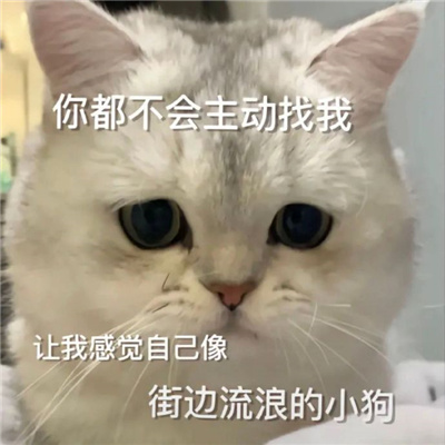 年轻人喜欢用的聊天表情 当代年轻人必备的流行表情