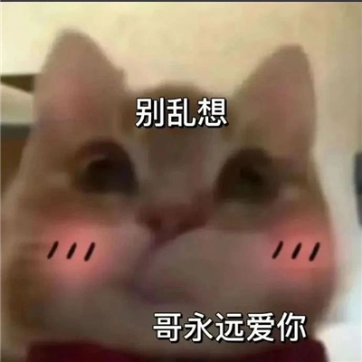 年轻人喜欢用的聊天表情 当代年轻人必备的流行表情