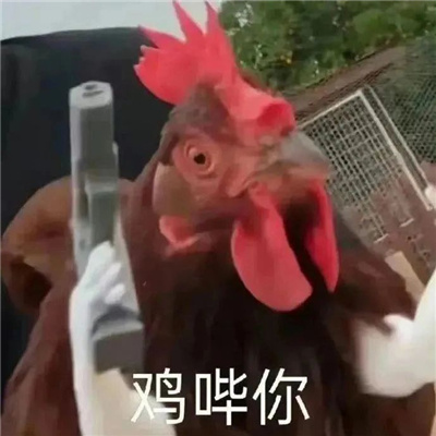 年轻人喜欢用的聊天表情 当代年轻人必备的流行表情