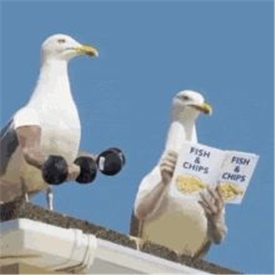 年轻人喜欢用的聊天表情 当代年轻人必备的流行表情