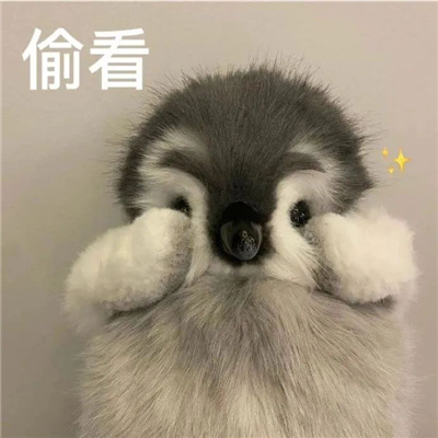 年轻人喜欢用的聊天表情 当代年轻人必备的流行表情