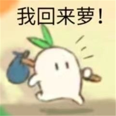 聊天必备的很火热的表情最新版 是金子总会发光的可是我是铁子