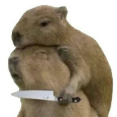 聊天必备的很火热的表情最新版 是金子总会发光的可是我是铁子