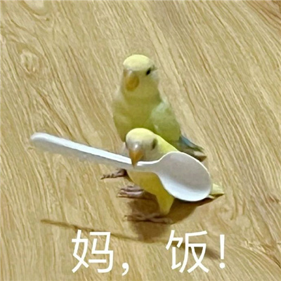 聊天必备的很火热的表情最新版 是金子总会发光的可是我是铁子