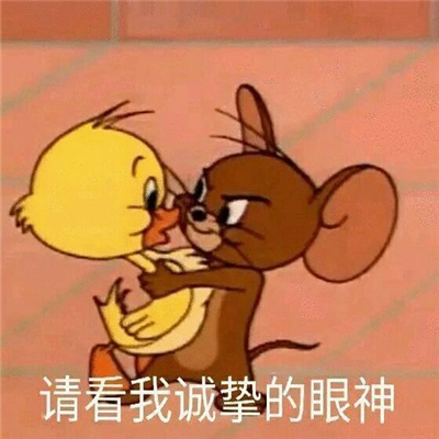 2023增加聊天风趣的表情最新 好用的无水印表情