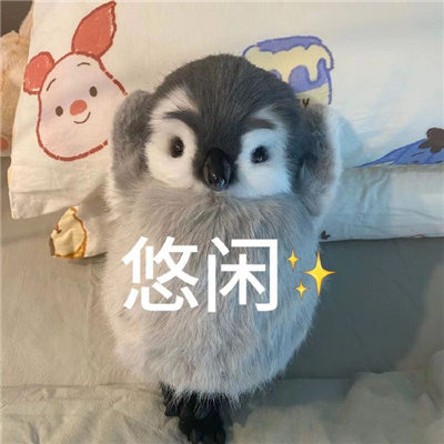 2023增加聊天风趣的表情最新 好用的无水印表情