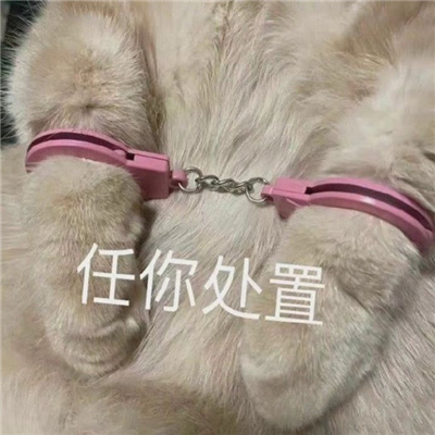 2023增加聊天风趣的表情最新 好用的无水印表情