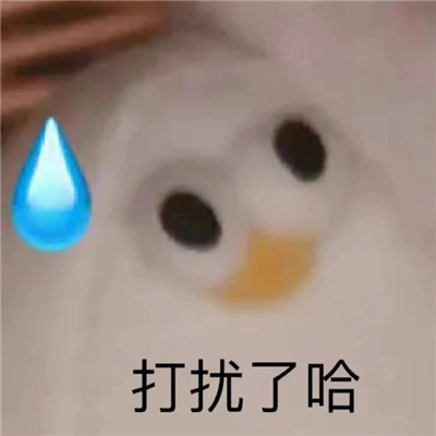 2023增加聊天风趣的表情最新 好用的无水印表情