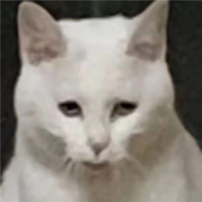 发疯专用无字丑猫表情合集 超有意思的猫猫表情发疯聊天必备