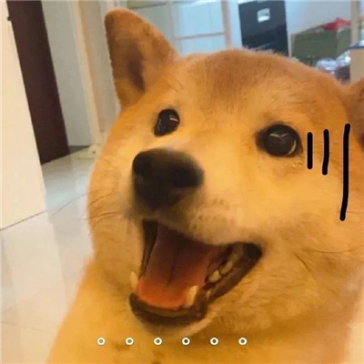 比较常用的幽默表情包 精选让你聊天不尴尬的表情