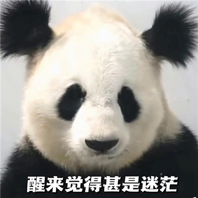 比较常用的幽默表情包 精选让你聊天不尴尬的表情