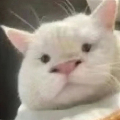 超喜欢的弱智表情最新 聊天用的智障表情合集