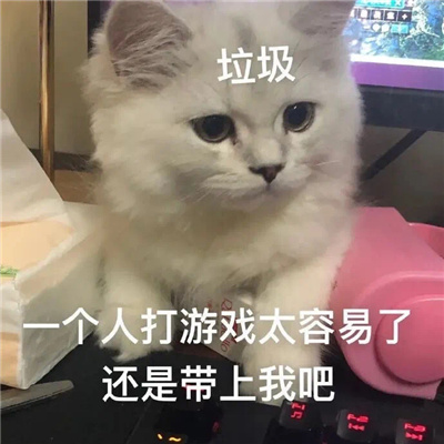 没款都很可爱的好用表情 你也为哥着迷吗