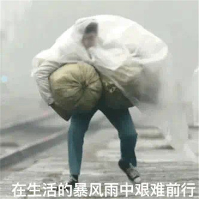 没款都很可爱的好用表情 你也为哥着迷吗