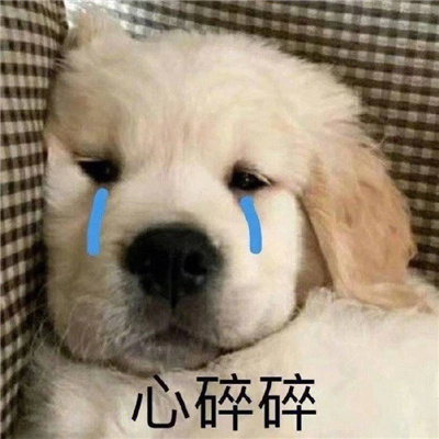 每款都很绝微信聊天表情 我们是不是变的生疏了