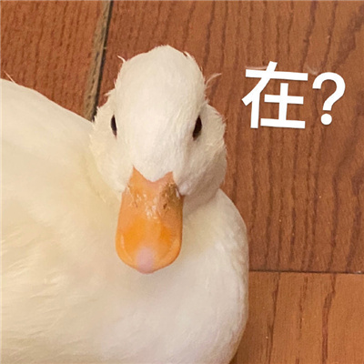 无水印表情值得收藏好用 高质量的好用表情