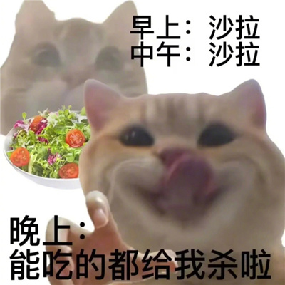 我的减肥生涯表情 减肥经历好用的表情