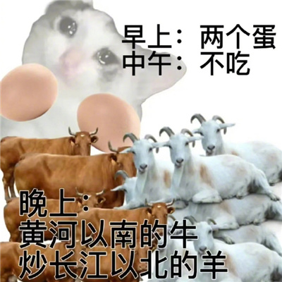 我的减肥生涯表情 减肥经历好用的表情