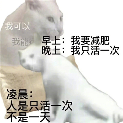 我的减肥生涯表情 减肥经历好用的表情