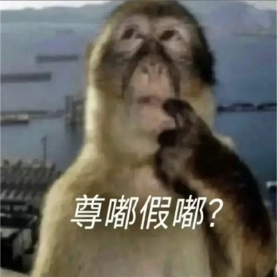万能回复好用尊嘟假嘟表情包 尊嘟假嘟表情分享