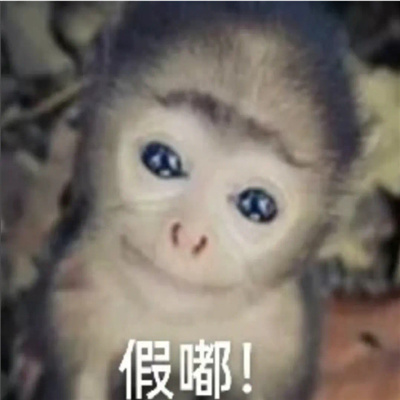 万能回复好用尊嘟假嘟表情包 尊嘟假嘟表情分享