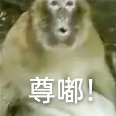 万能回复好用尊嘟假嘟表情包 尊嘟假嘟表情分享