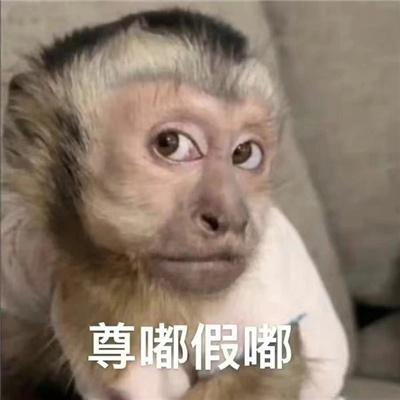 万能回复好用尊嘟假嘟表情包 尊嘟假嘟表情分享