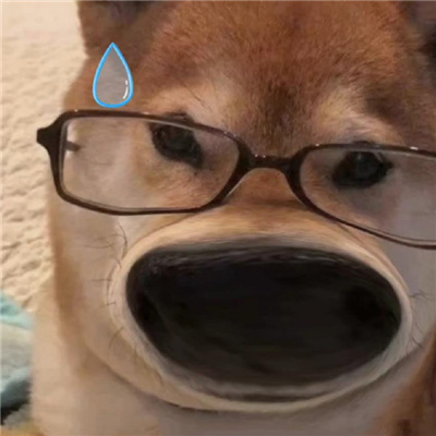 超快乐的聊天表情最新 你不是饿饿就是涩涩