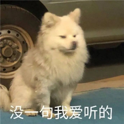 超爱用的爆好笑的表情合集 每张都会存图的实用表情