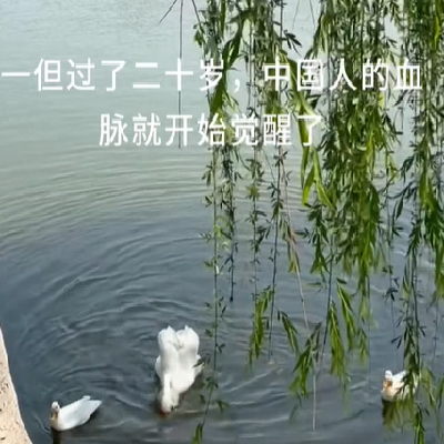 年轻人血脉觉醒的表情包 听凤凰传奇