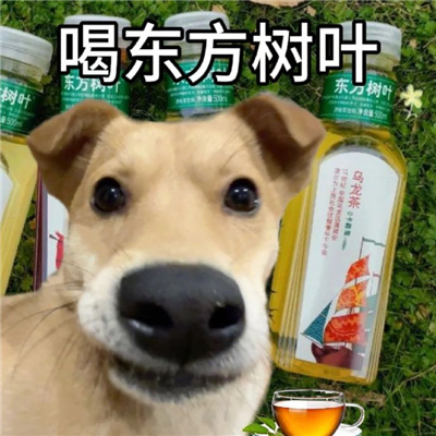 年轻人血脉觉醒的表情包 听凤凰传奇