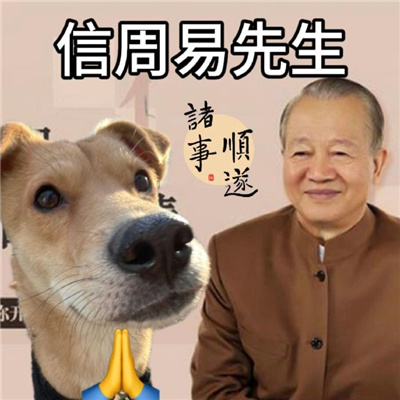 年轻人血脉觉醒的表情包 听凤凰传奇