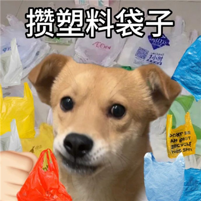 年轻人血脉觉醒的表情包 听凤凰传奇