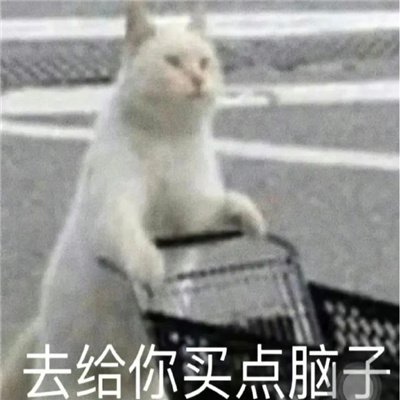 社交达人阴阳怪气表情 我去给你买点脑子