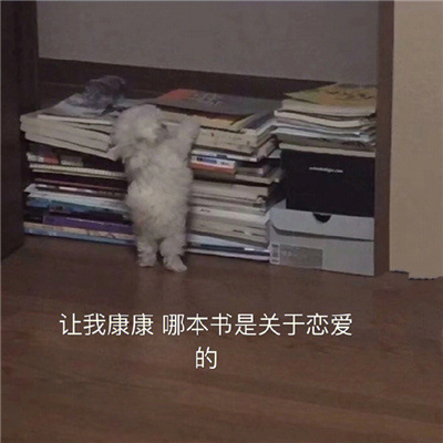 挺实用的无语表情包 你也不是什么好鸟