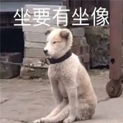 挺实用的无语表情包 你也不是什么好鸟