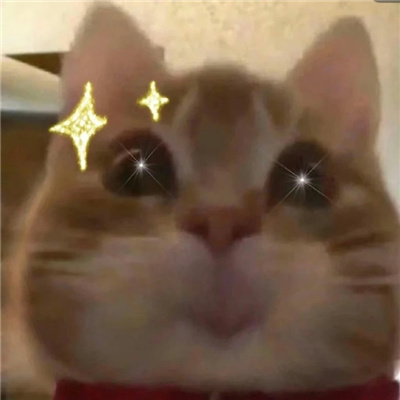 超喜欢的超好用的表情 狗都沉默了