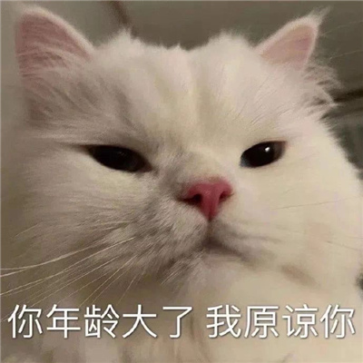 很嚣张的趣味小表情 小委屈我也受不了