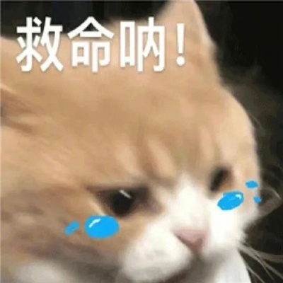 很嚣张的趣味小表情 小委屈我也受不了