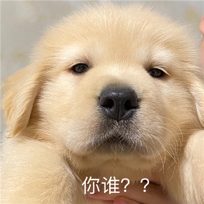 很嚣张的趣味小表情 小委屈我也受不了