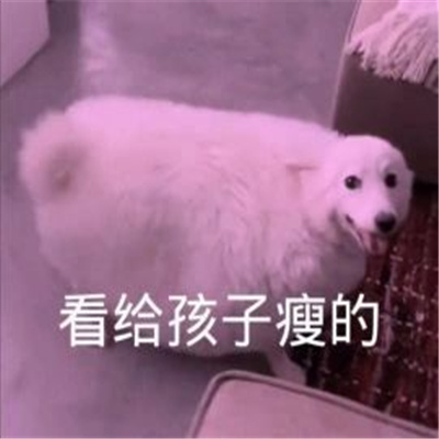 聊天必备的发疯表情 好了你可以闭嘴了