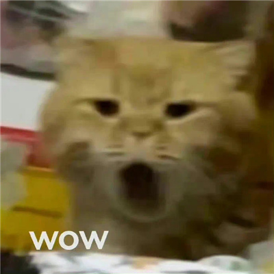 会用很久的微信聊天表情大全 百用不厌的快乐表情