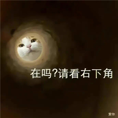 会用很久的微信聊天表情大全 百用不厌的快乐表情