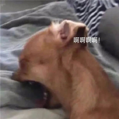 爱用的快乐表情合集超快乐 小东西还挺倔