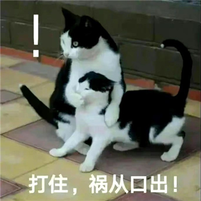 专治各种不开心的表情 拯救你不开心的热门表情