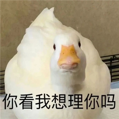 专治各种不开心的表情 拯救你不开心的热门表情