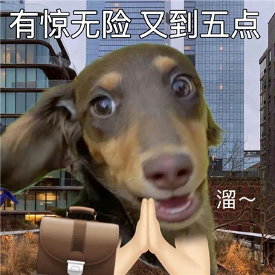 专治各种不开心的表情 拯救你不开心的热门表情