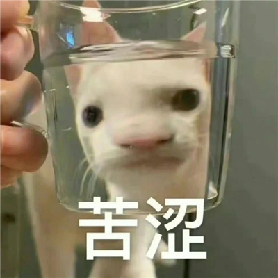 专治各种不开心的表情 拯救你不开心的热门表情