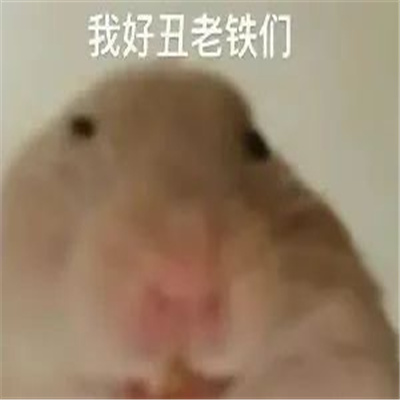 互联网超开心的聊天表情 我都替你恶心