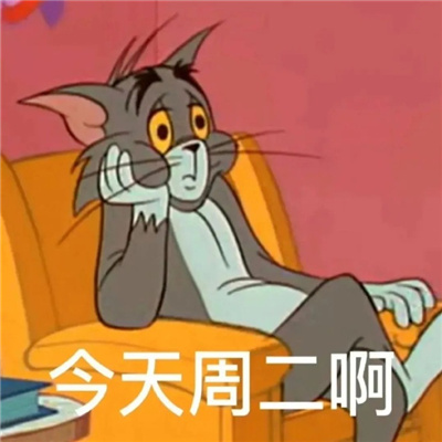 互联网超开心的聊天表情 我都替你恶心